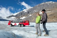 Icefields Adventure