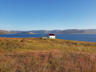 Midnight Sun & Arctic Foxes, photo 18
