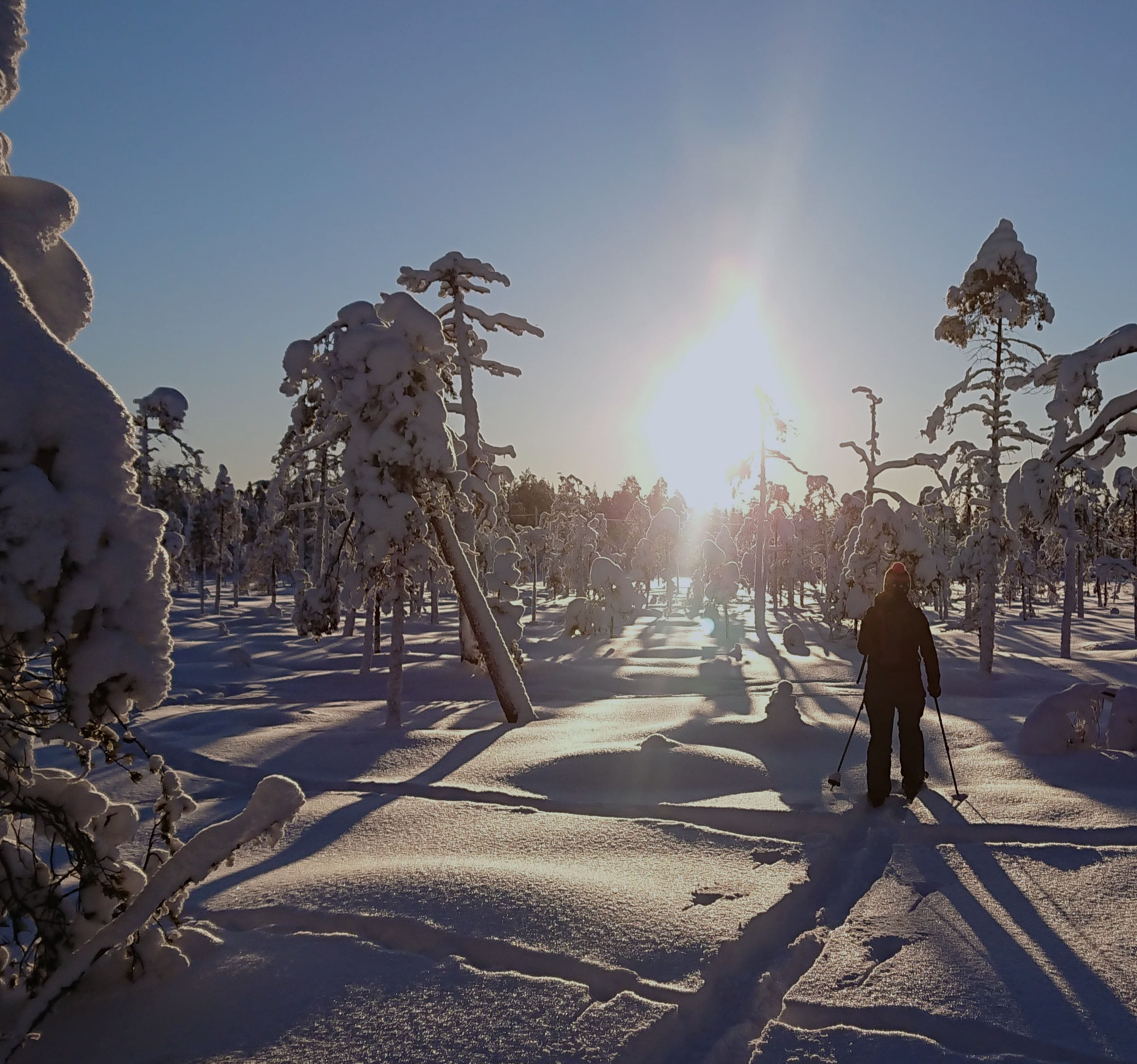 Ounasvaara at evening