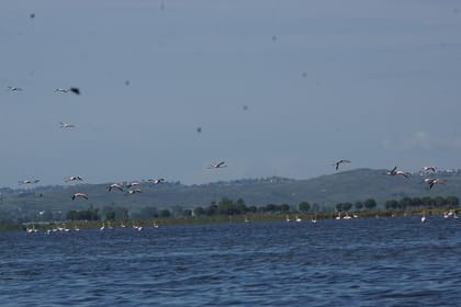 Karavasta lagoon and Boat trip – Daily tour from Tirana