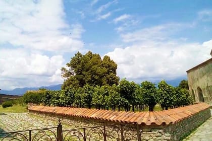 Discover Pankisi: Duisi, Akhmeta & Khadori Adventure