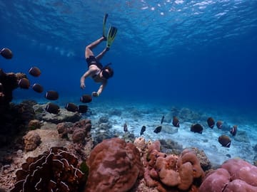 Phuket: Similan Island Snorkeling Adventure full day tour by Sea Star Andaman