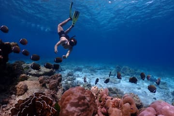 Phuket: Similan Island Snorkeling Adventure full day tour by Sea Star Andaman