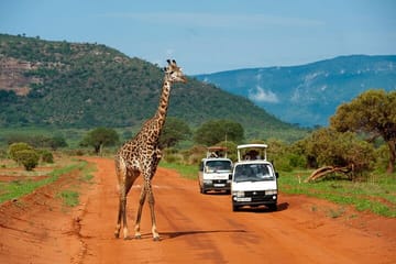3-Day Tsavo East Private Safari from Diani Beach