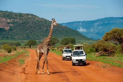 3-Day Tsavo East Private Safari from Diani Beach
