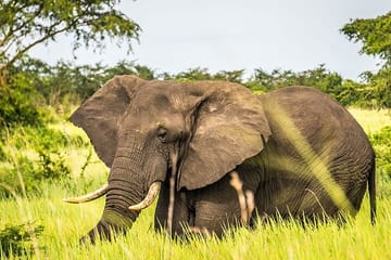 Small Group to Aquila Big5 Private Game Reserve with Wine Tasting