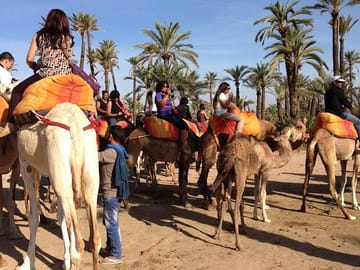 camel trek marrakech