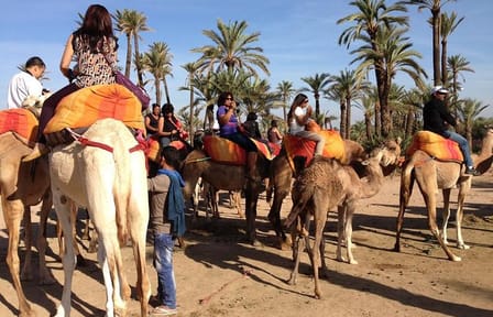 Camel Trekking Tour in the Marrakech Desert Landscape