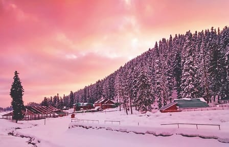 Gulmarg Adventure: A Thrilling Day Trip from Srinagar