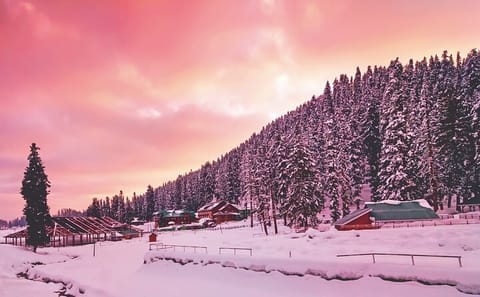 Gulmarg Day Trip with Scenic Cable Car from Srinagar