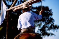 Full day Fiesta Gaucha (from BUENOS AIRES) 5