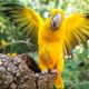 Bird Park