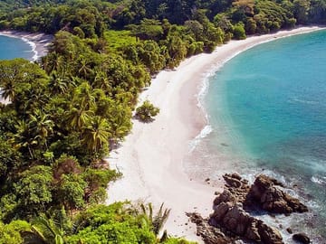 Full-Day Guided Tour of Manuel Antonio National Park
