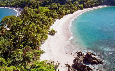 Full-Day Guided Tour of Manuel Antonio National Park