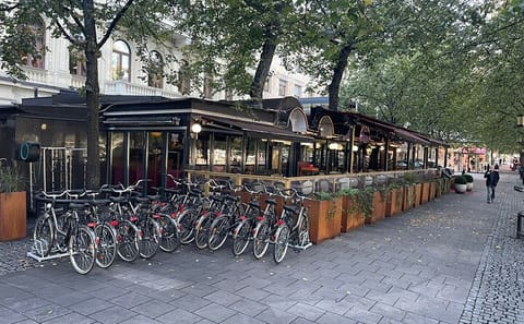 Guided Bike Tour of Stockholm's Neighborhoods and Waterfronts