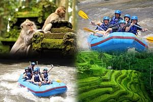 Full day ubud Tour commbine Bali Rafting