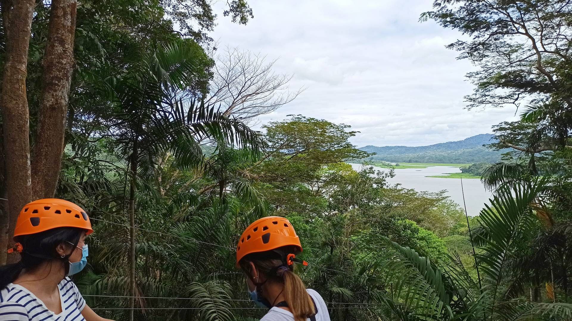 sloth sanctuary tour panama