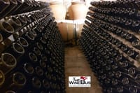 Sparkling wines