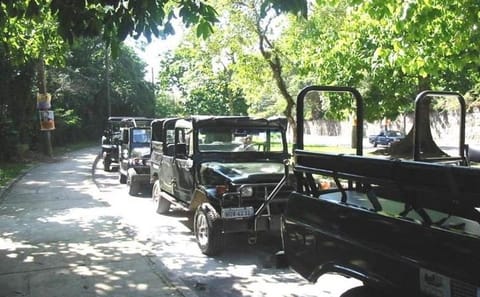 Jeep Tour of Corcovado, Tijuca Rain Forest, and Santa Teresa