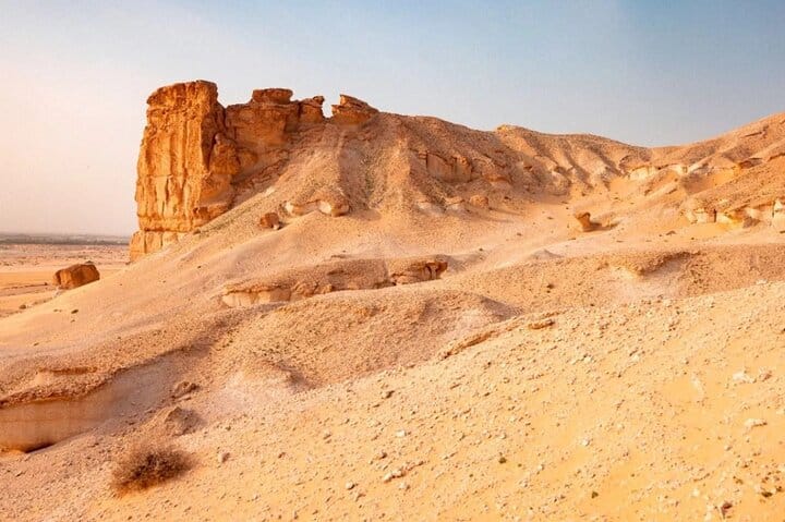 Qassim Heritage Tour Culture, Markets & Traditions 10