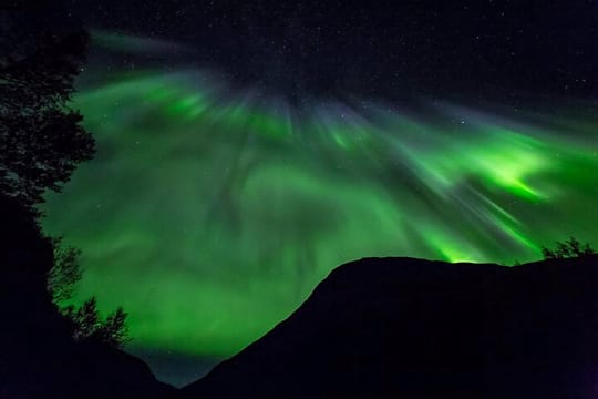 Tromsø: Northern Lights Small-Group Safari
