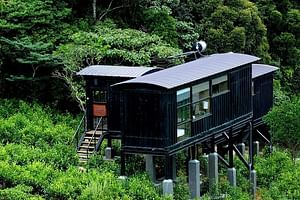 All Inclusive - Private Overnight Rain forest adventure in Sinharaja