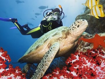Scuba Diving Experience in Fethiye with Professional Guide