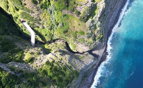Full Day 4x4 Jeep Adventure to Porto Moniz and Fanal