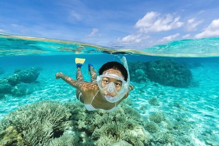 Isla Saona Speedboat Adventure - Lunch, Wildlife & Natural Pools 8