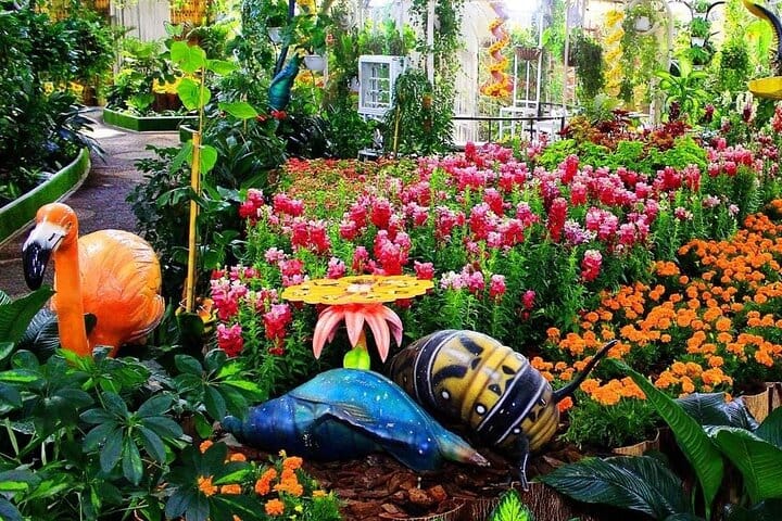  Dubai Butterfly Garden  8