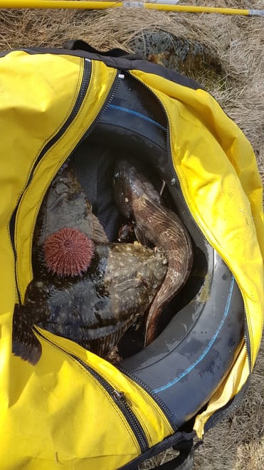 Freedive Foodhunt	 photo 2