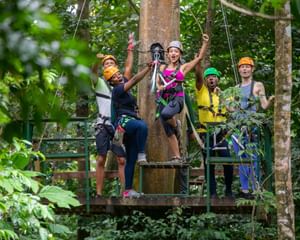 Adrena-Line Zipline Canopy Tour at Rainforest Adventures St. Lucia