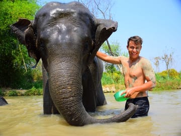 Half-Day Elephant Care Program at Phuket Wildlife Sanctuary