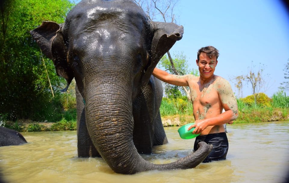Half-Day Elephant Care Program at Phuket Wildlife Sanctuary