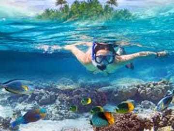 Wildlife Encounter and Snorkeling Tour in Coxen Hole, Honduras