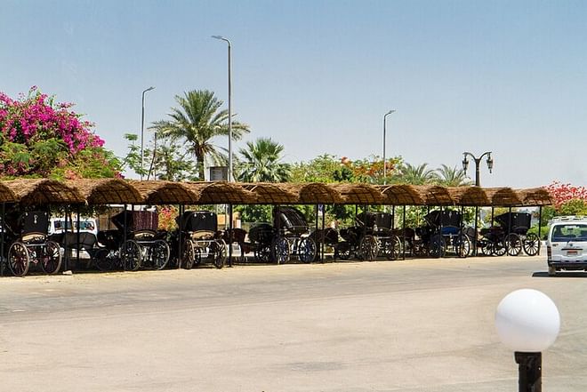 Sunset Horse Carriage Ride in Luxor