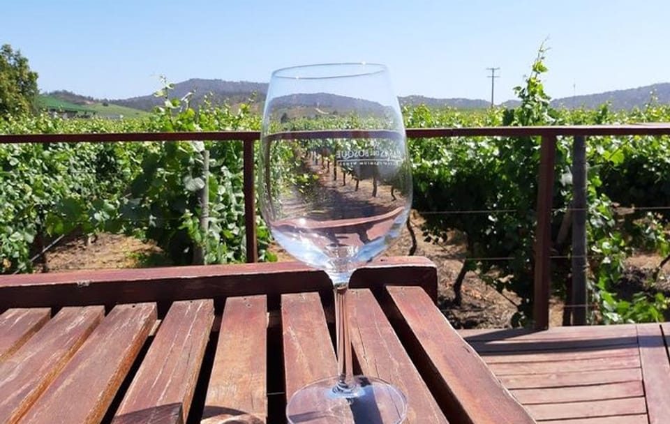 Private half day wine tour Concha y Toro