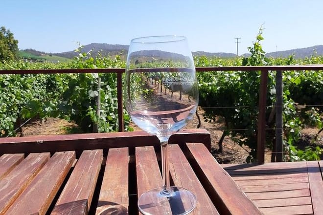 Private half day wine tour Concha y Toro