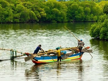 Negombo Lagoon & Muthurajawela Bird Watching Boat Tour