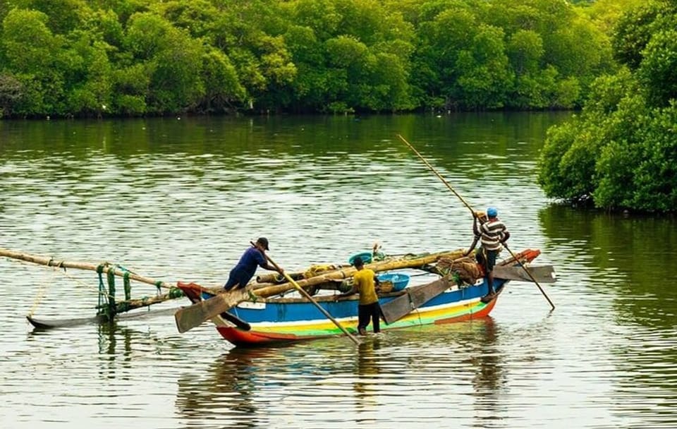 Negombo Lagoon and Muthurajawela Bird Watching Tour