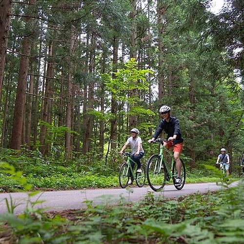 Mount Haguro E-Bike Sightseeing Tour in Yamagata, Japan