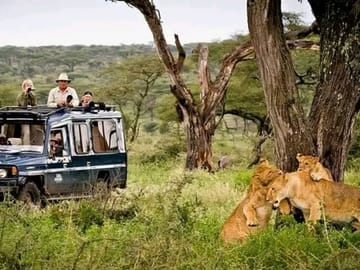 Three-Day Private Jeep Safari on Zanzibar Island