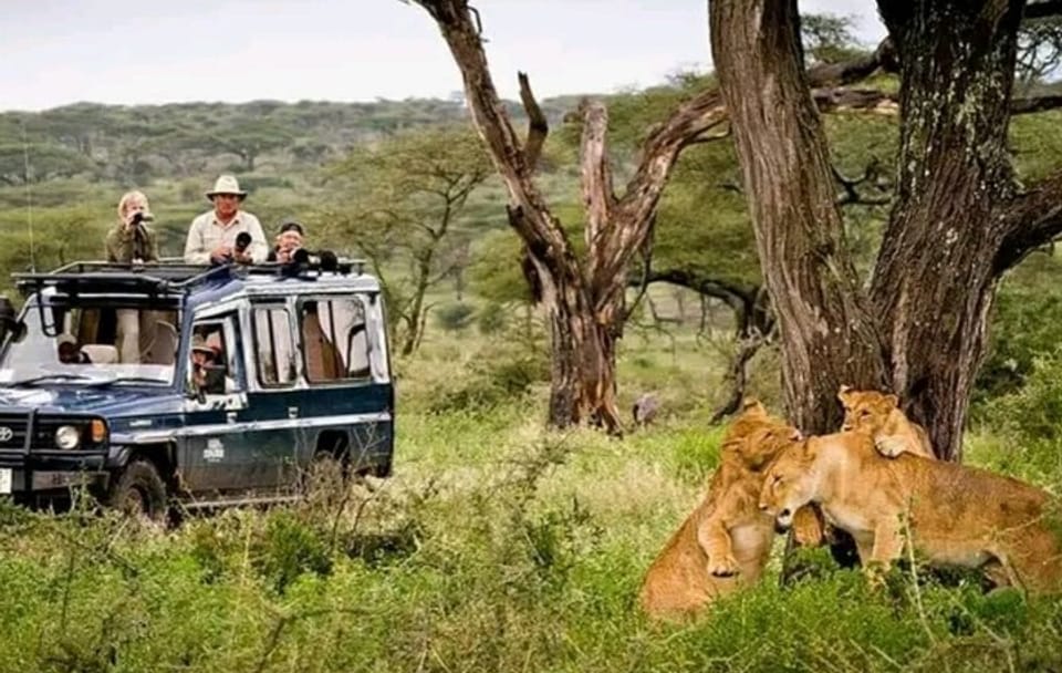 Jeep Safari Zanzibar Island 3 Day Private Tour