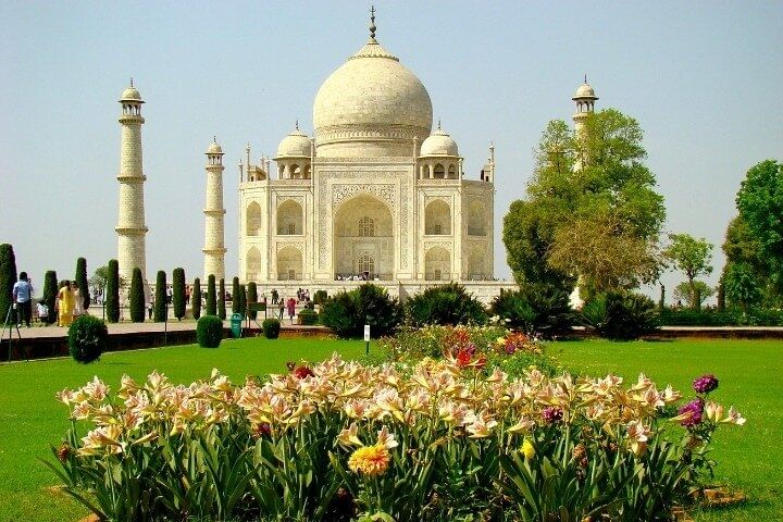 Taj Mahal flower views