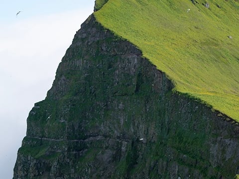 King and Queen of Cliffs - Hornstrandir Hike, photo 12