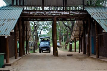 Udawalawa National Park Wildlife Safari from Wathuregama