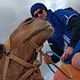Magical dinner show and camel ride & Quad Bike in Agafay desert