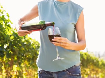 Troodos Mountains Wine Tasting and Village Tour from Limassol