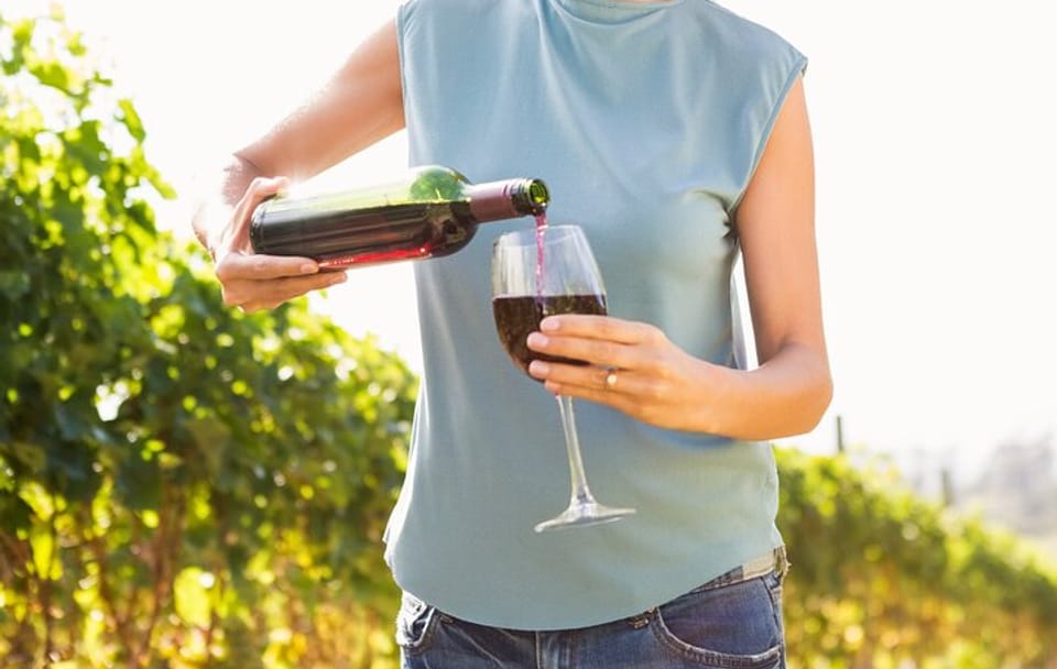 Troodos Mountains Wine Tasting and Village Tour from Limassol