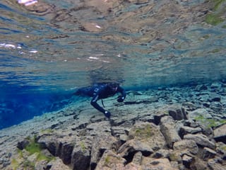 Silfra Snorkel tour, photo 13
